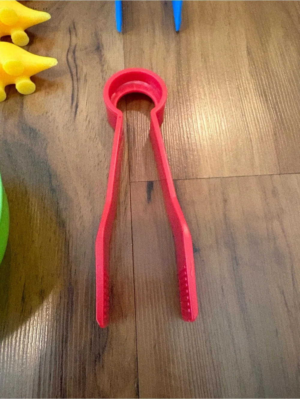 Dinosaur Sorting Set